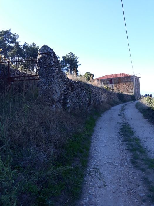 Vendo terreno e casa em Armamar, Queimada