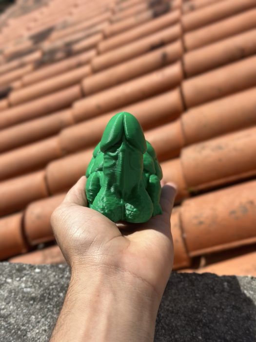 Tartaruga "Atrevida" - Impressão 3D - Presente Divertido / Gag Gift