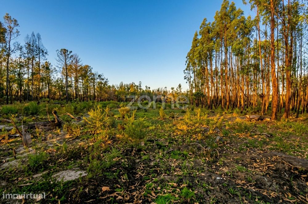 Terreno urbano + rústico com 2.472 m² – projeto ideal para moradia — Águas Boas E Forles, Viseu