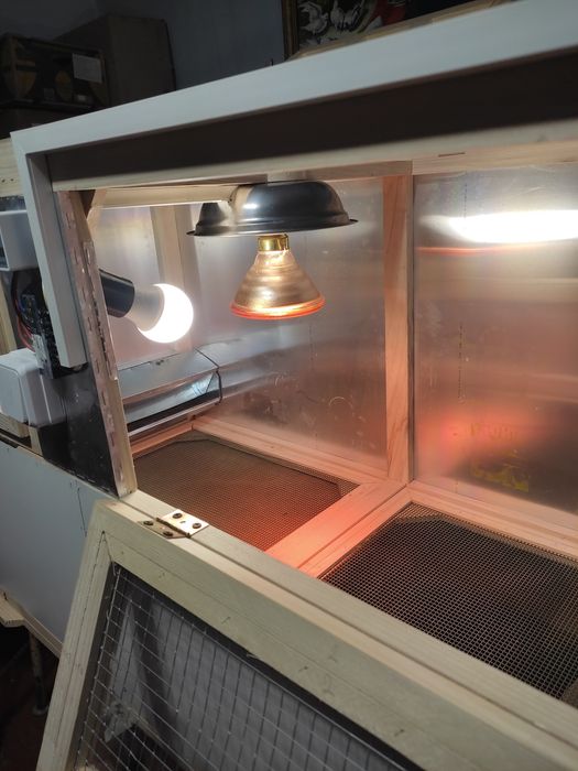 Брудер для курчат , перепілок, птиці від народження.