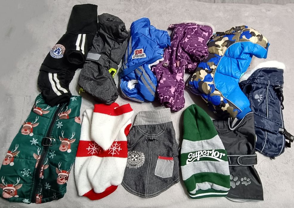 Одежда для собак, одяг для собак