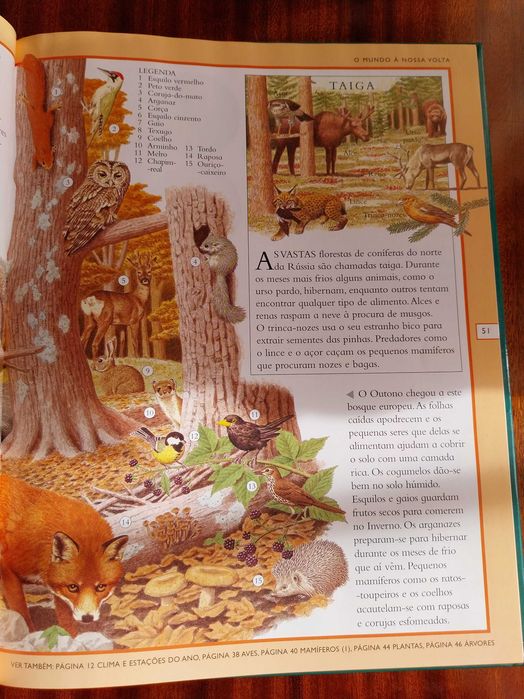 “A Minha Primeira Enciclopédia”, Júnior, Universal, livro didático