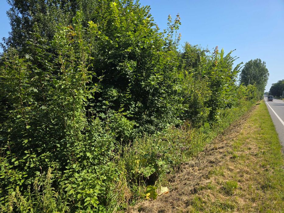 Ділянка на Трасі  Львів - Самбір 1-ша лінія 50 соток