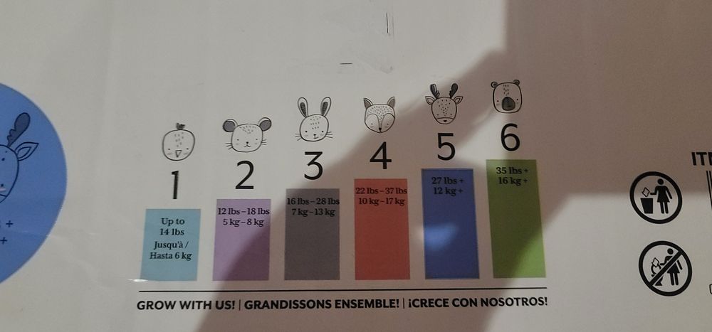 Памперси Kirkland 5 12+