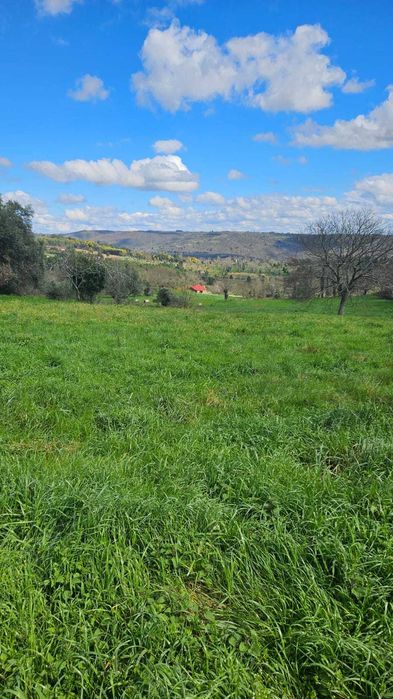 Terreno Frechão 2.2ha