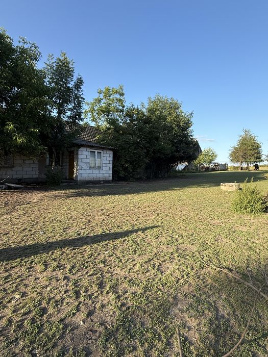Dzialka na sprzedaz z istniejaca juz zabudową nr 134 Daniszewice - Widok 5
