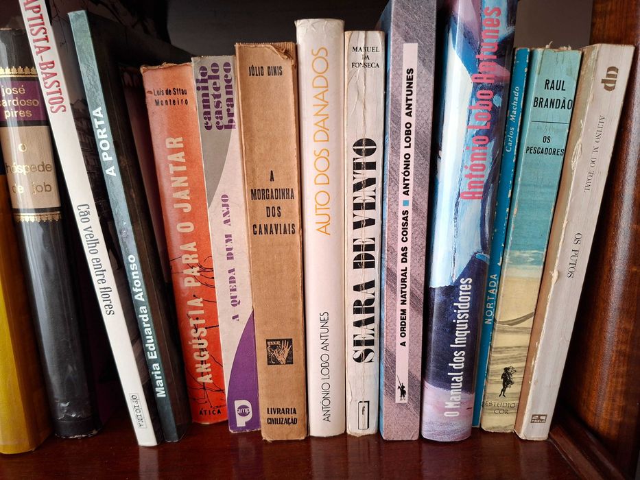 Livros de literatura Portuguesa - Sec XX - Grandes Autores - 22 Livros