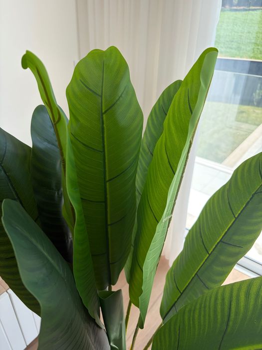 Planta Decorativa Tropical  – Estilo Banana/Estrelícia