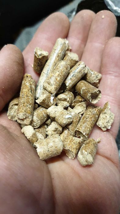 Pellet drzewny sosna