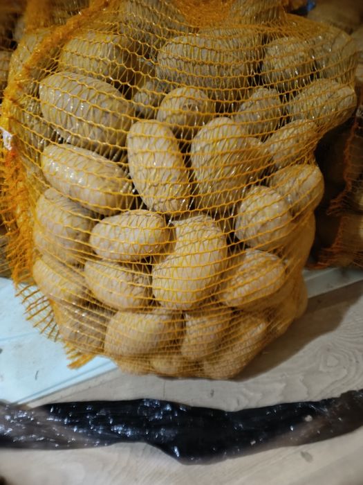 Ziemniaki jadalne Soraya Melody