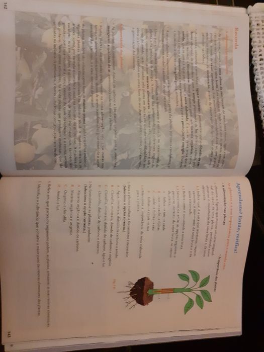Manual O Mistério da Vida Ciências Natureza - 6º ano