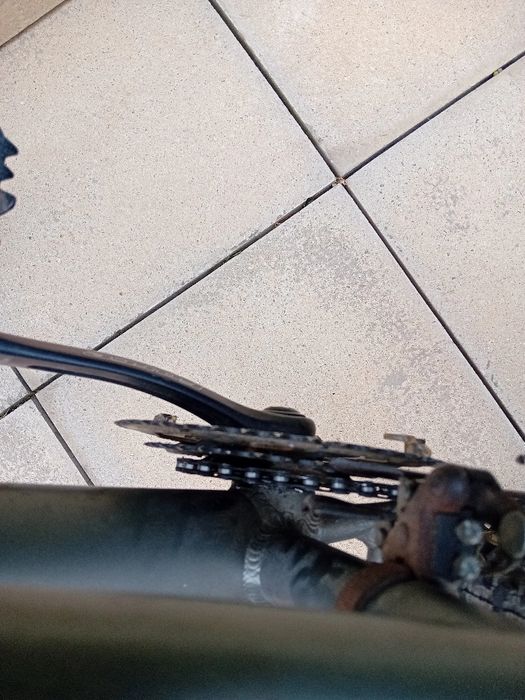 Bicicleta femenina de adulta