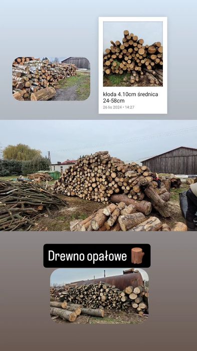 Drewno opałowe wałki Dąb Brzoza Klon Jabłoń Jesion Osika Sosna Wałki 1 metr transport wywrotka do 6 mp lub wałki 2.5 metra długości 25 mp lub 50 mp 
S
