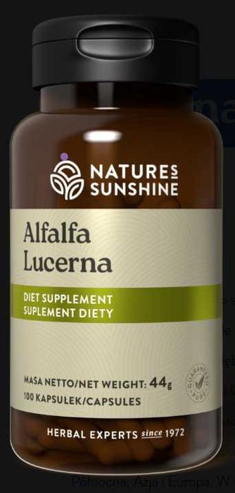 Lucerna (100 kaps.) NSP