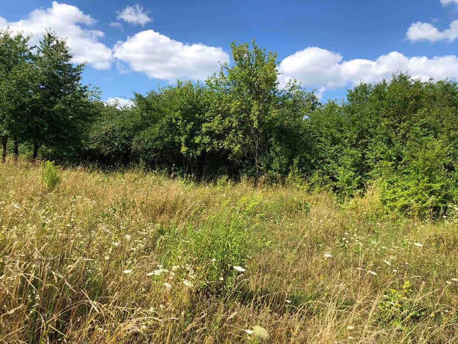 Продам ділянку с. Щітки (8387)