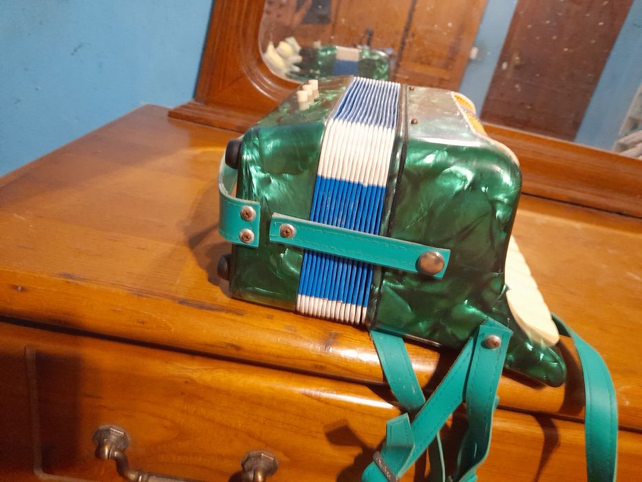 acordeon em bom estado como se encontra-se nas fotografias