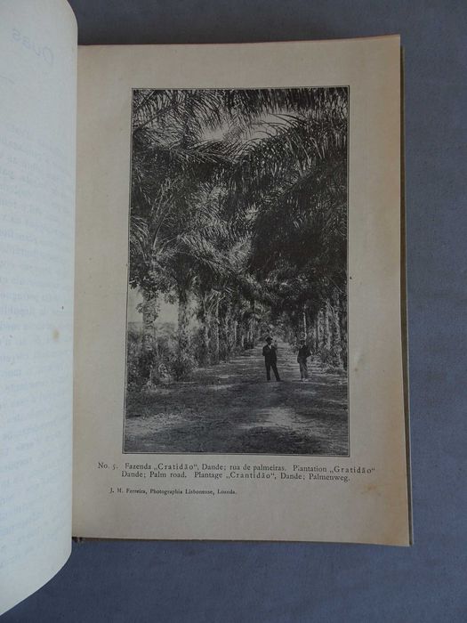 Livro A Colonização de Angola - J. Pereira Nascimento A. Mattos 1912