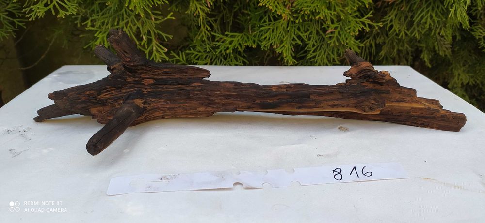 Korzeń do akwarium 38cm   816