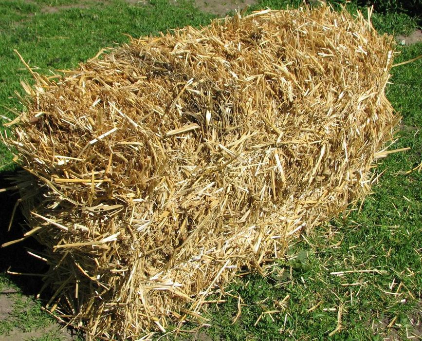 Тюки соломи недорого Солома