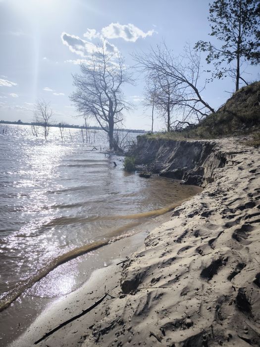 Ціна знижена до 1.03 Земельна ділянка 6 соток Лютіж