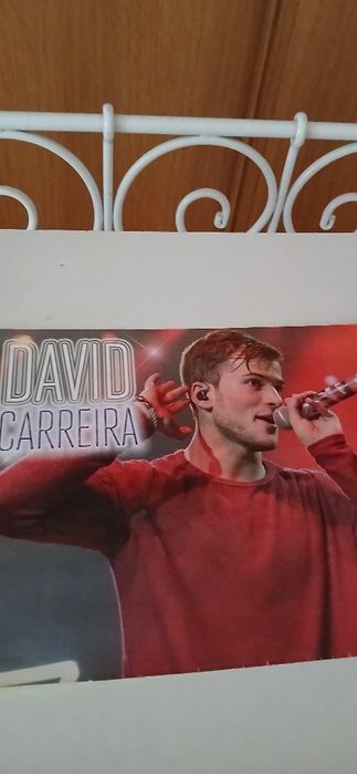 Poster David Carreira/The Vamps
