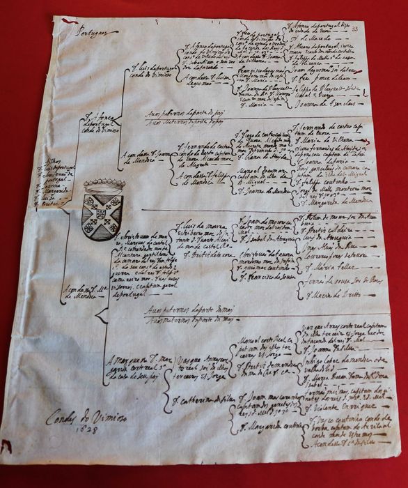Apelido Portugal, Condes de Vimioso, 1628 árvore genealógica