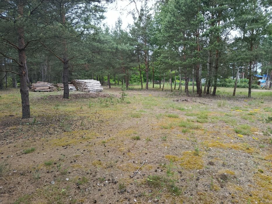 Działka w Puszczy Noteckiej - 1223 m², m. Klempicz - Widok 6