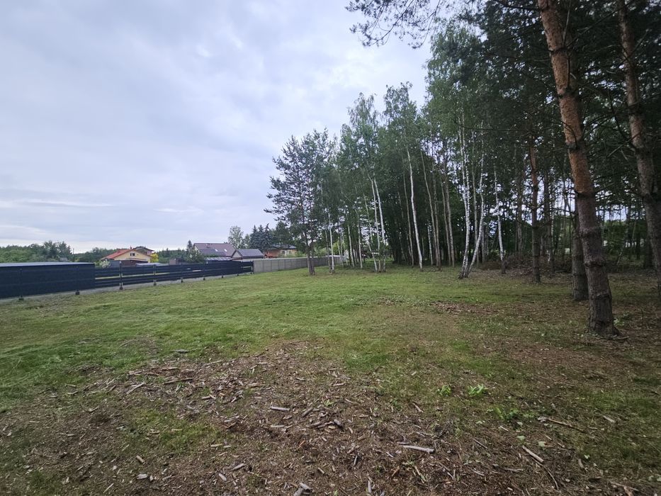 Działka Wolanów w otulinie lasu z WZ!!!