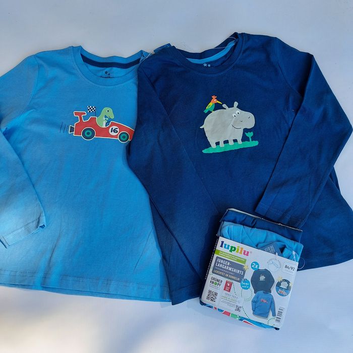 Реглан для хлопчика Lupilu