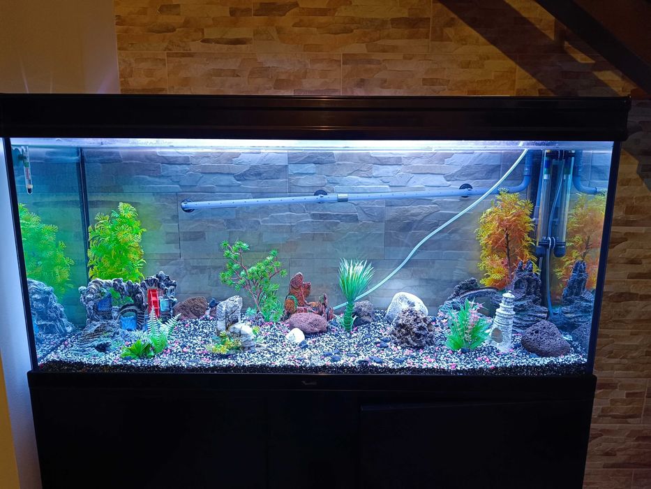 Aquário completo