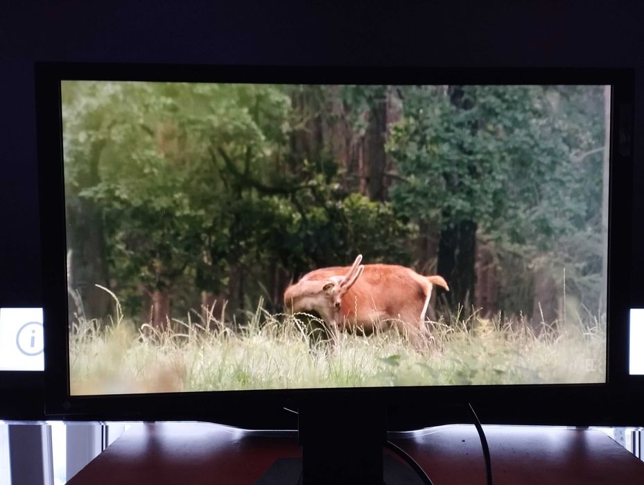 Monitor Eizo Foris FG2421PL czarny