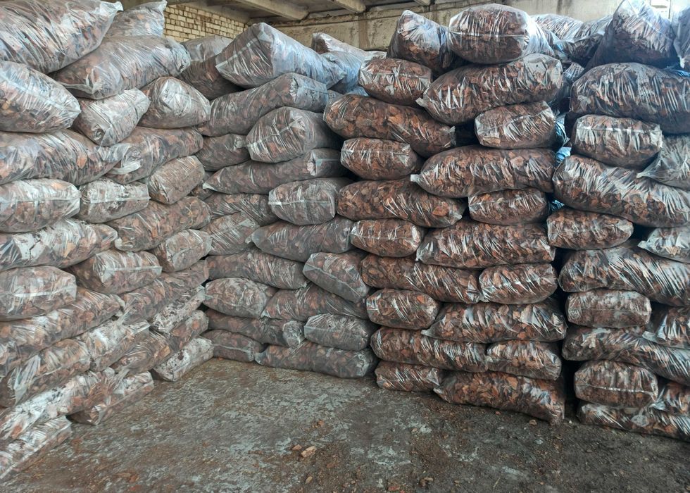 Кора соснова, Кислий торф, Субстрат для лохини, Сфагнум, Агроперліт