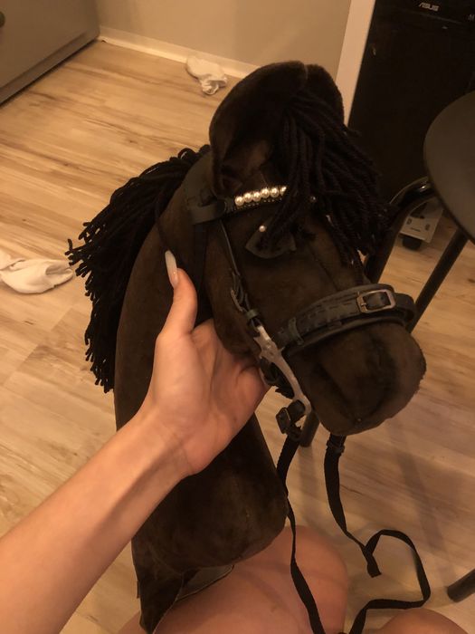 Hobby horse gniady z ogłowiem