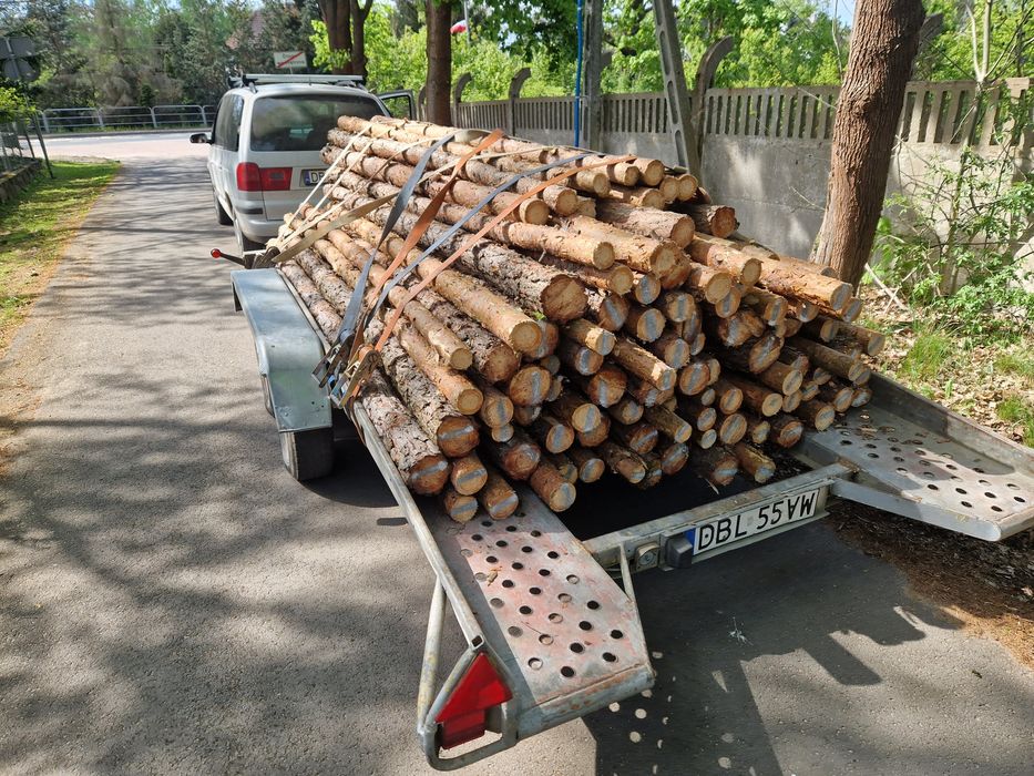 Stemple budowlane sosnowe