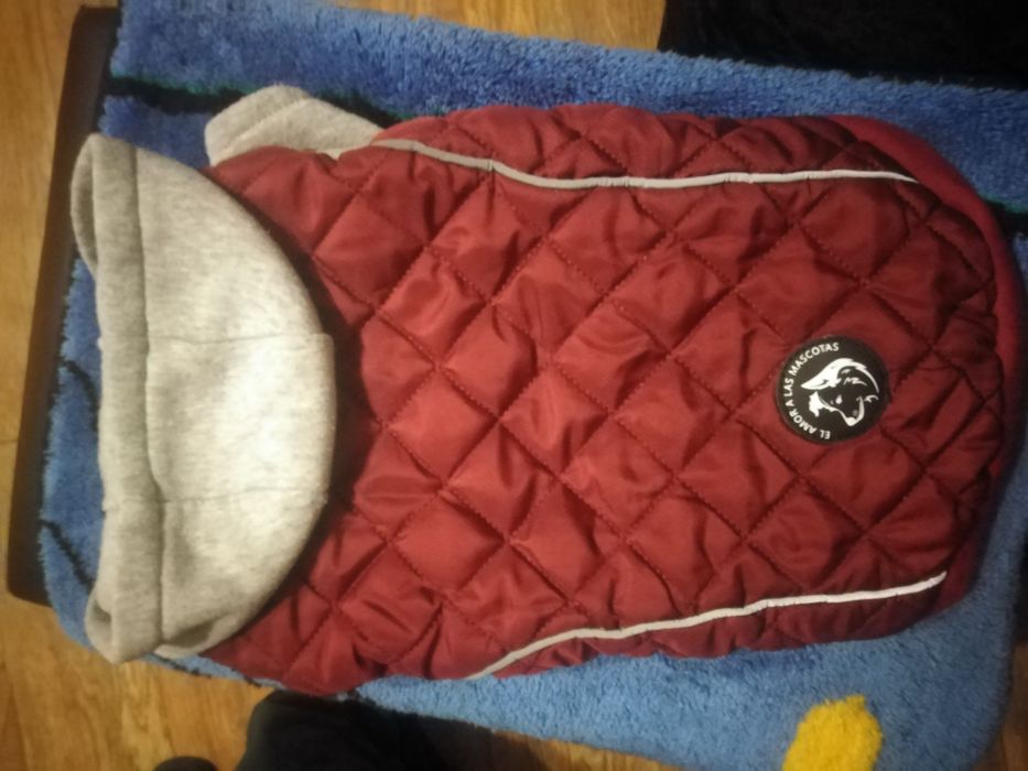 Комбінезон для собак.