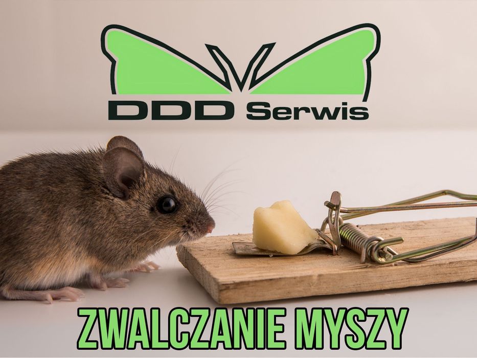 Dezynfekcja Dezynsekcja Deratyzacja, ULV Ozonowanie PLUSKWY PRUSAKI