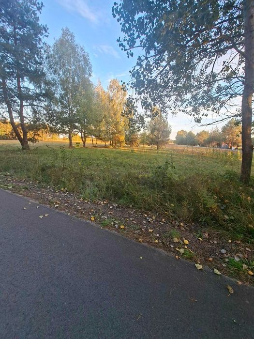 Sprzedam Działkę Grabów Zaleśny