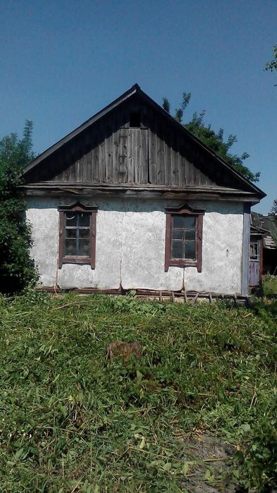 Продається будинок і земля під ОСГ