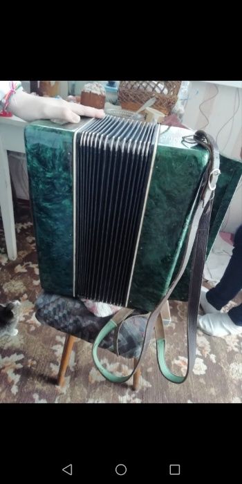 Баян 1968 г. Рассвет