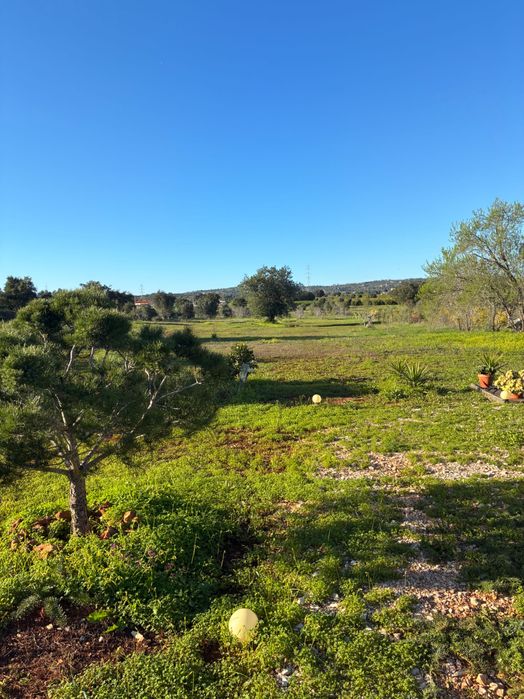 Terrano agricole 8033 m2