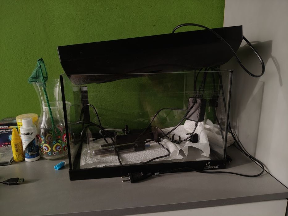 Akwarium plus dodatki