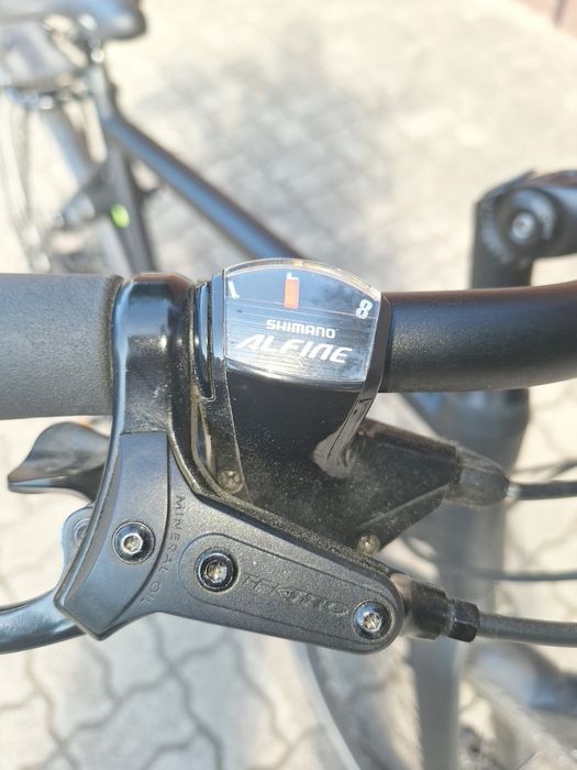Batavus sanito roz 57