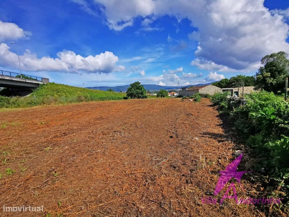 Terreno Com 5.000 M² Para Construção