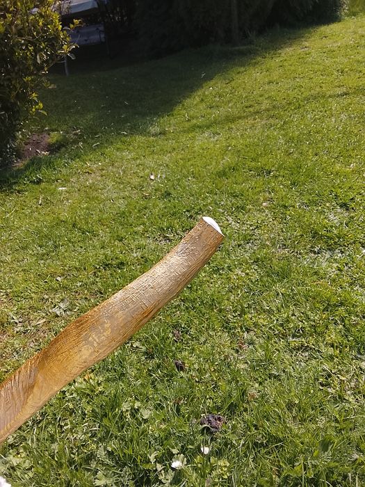 Lampa kare design  animal goat