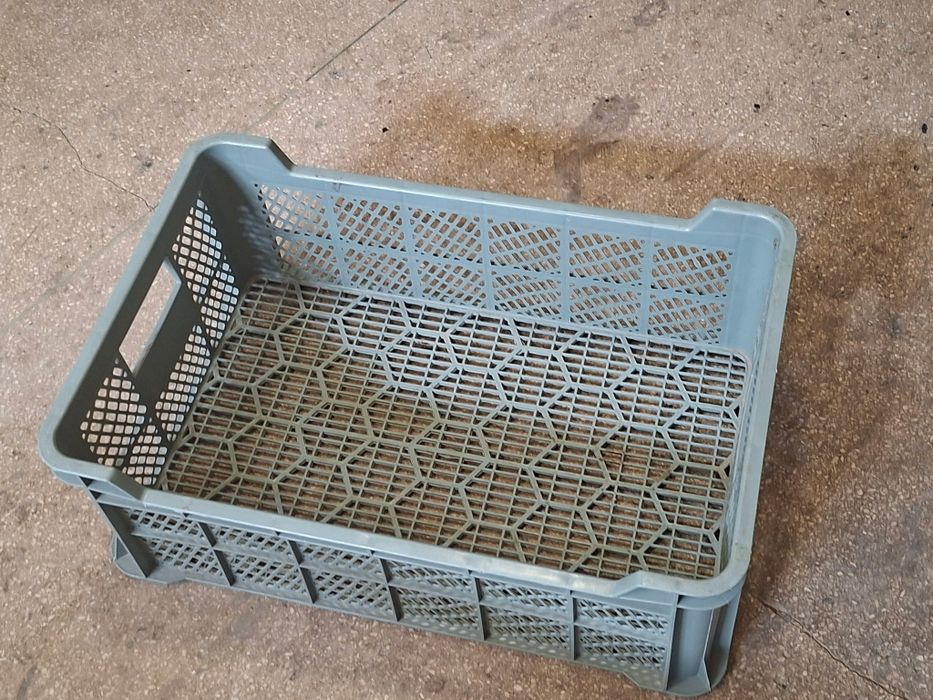 Plastikowa skrzynka 60szt.