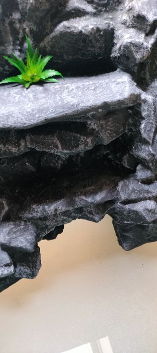 Ścianka do terrarium