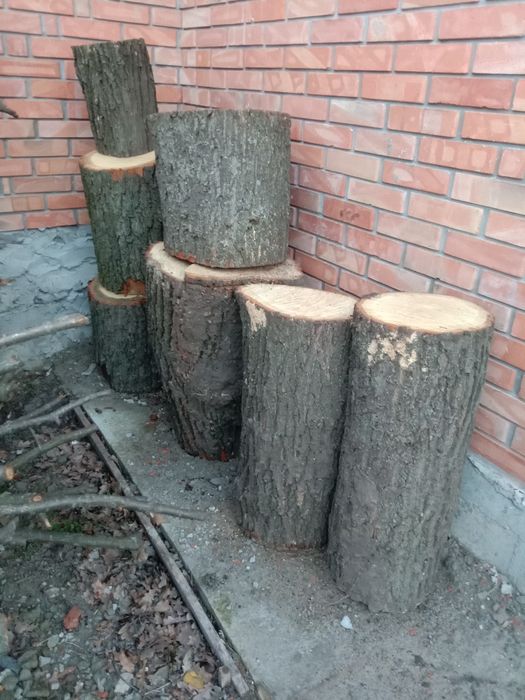 Дубовые колоды, разные размеры.