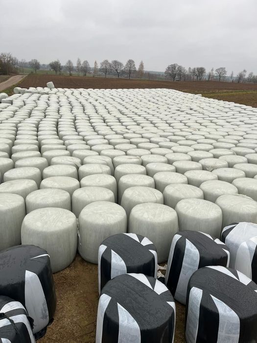 BELE z kukurydzy-wysłodka buraczna zbiór 2025 Bele / Baloty MIWIND