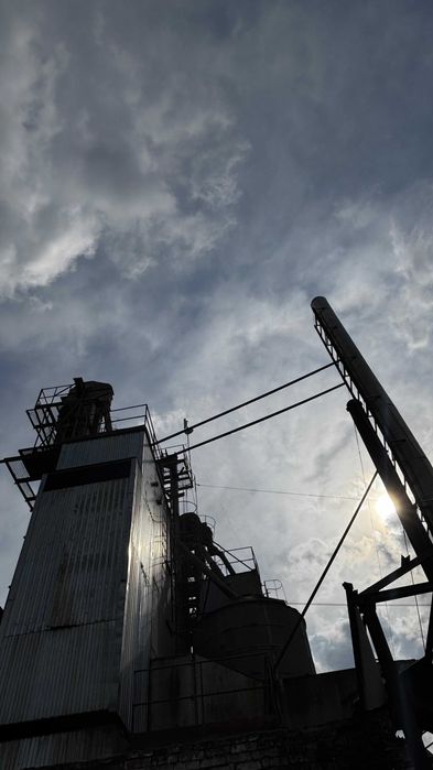 Сушка зернова б/у