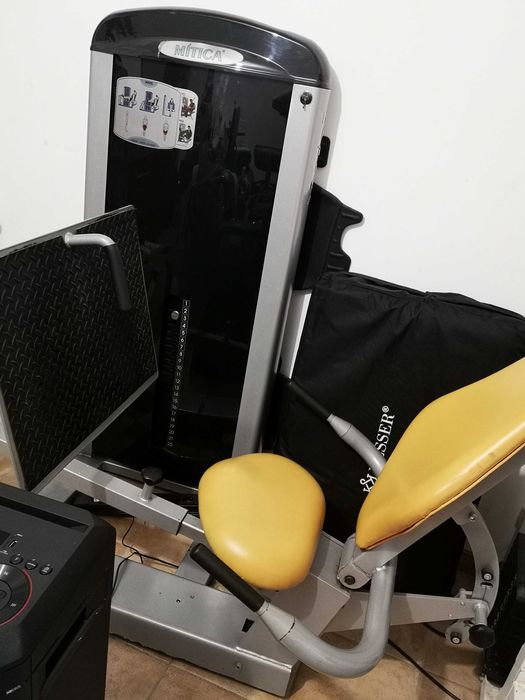 Prensa de pernas profissional de ginásio